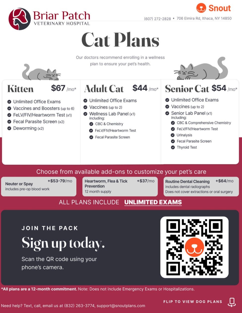 Cat Wellness Plans Briar Patch Vet Cat Wellness Plans Briar Patch Vet Ithaca NY